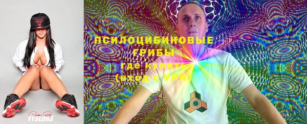 Альфа ПВП Гусь-Хрустальный